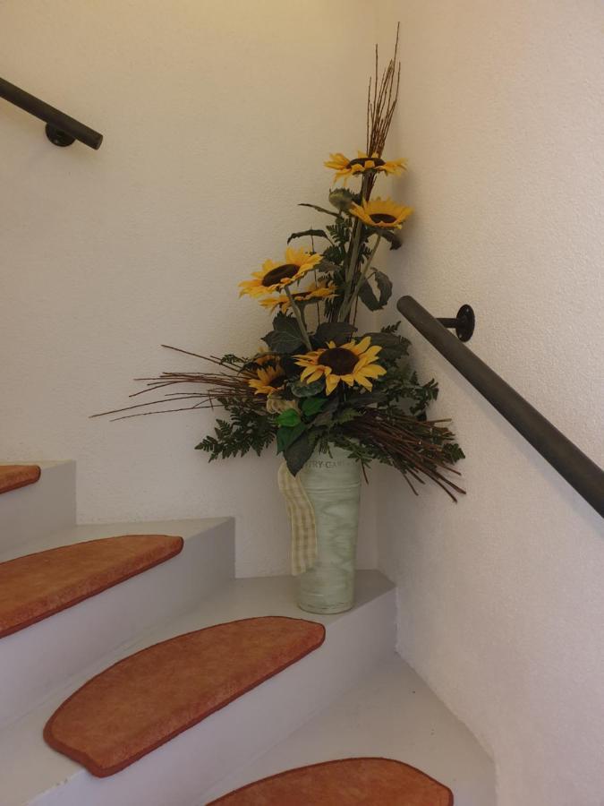 Hofstaetter Ferienwohnung 弗利斯 外观 照片
